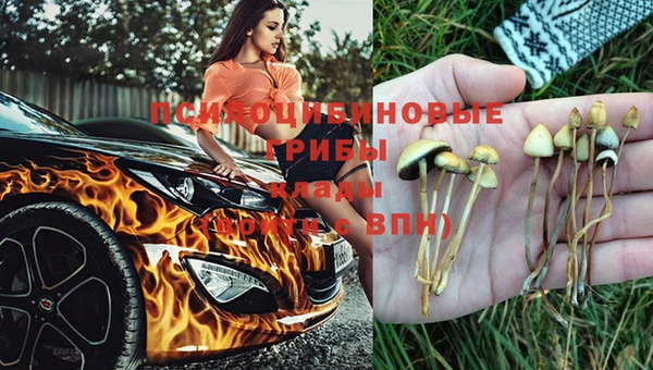 синтетический гашиш Армянск